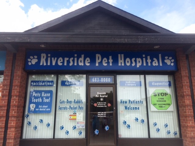 Pet Clinic near Riverside, CA